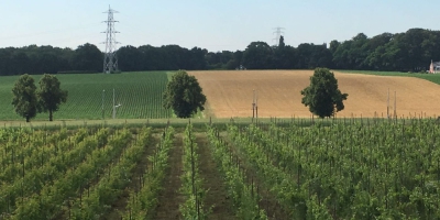 Opgebonden en de lanen geklepeld