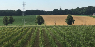 Opgebonden en de lanen geklepeld