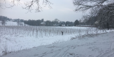 Prachtig Winterlandschap